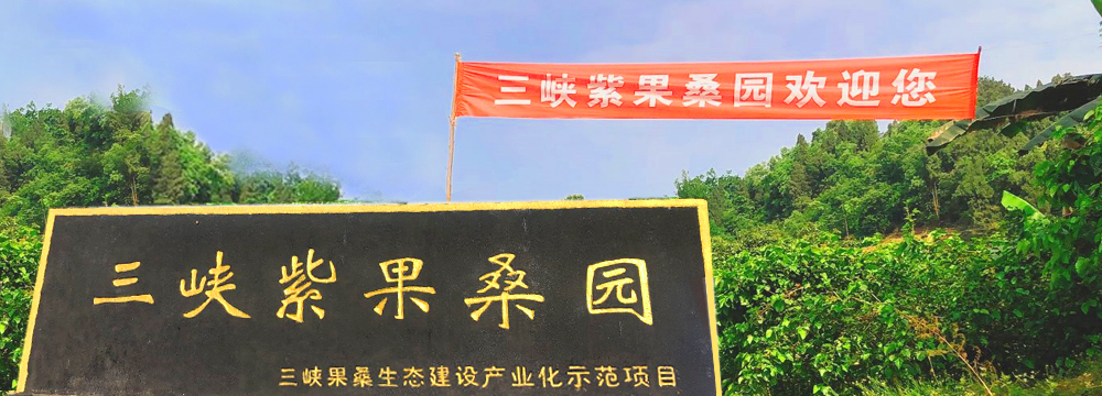 桑果園園門口